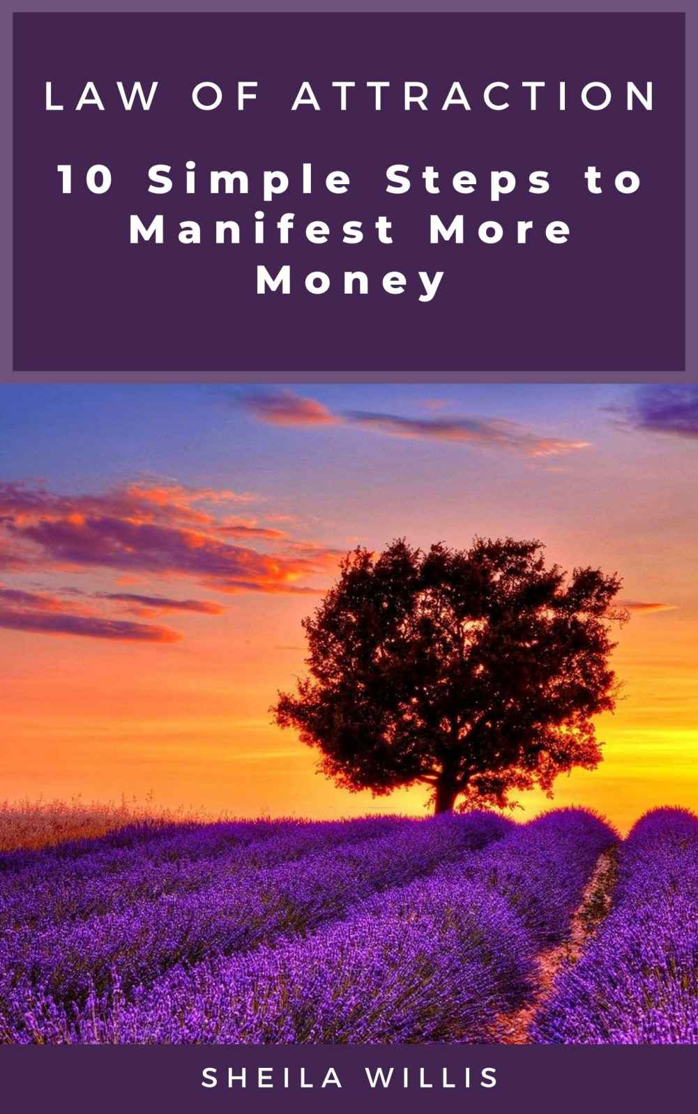 Law of Attraction: 10 Simple Steps to Manifest More Money