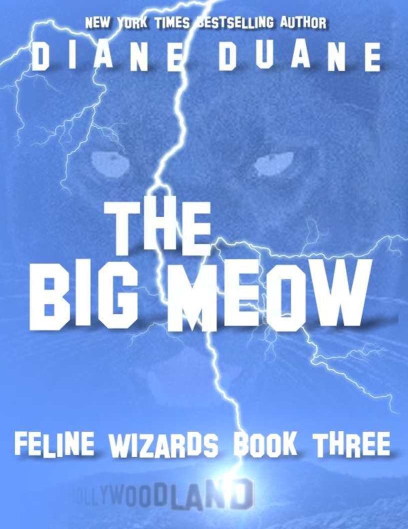 The Big Meow