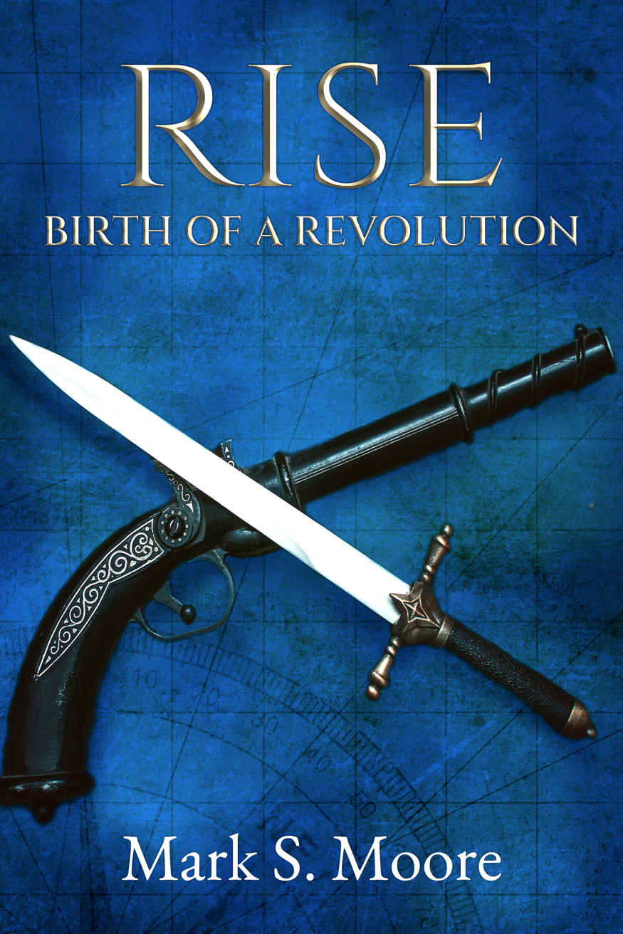 Rise: Birth of a Revolution (The Ricchan Chronicles Book 1)