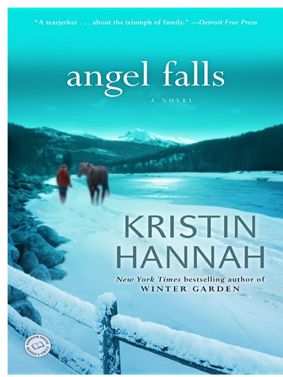 Angel Falls: A Novel