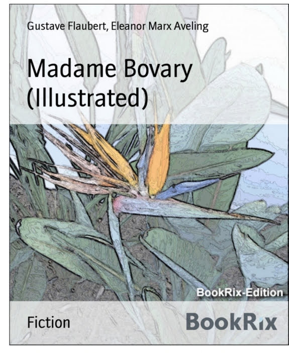Madame Bovary (Illustrated)