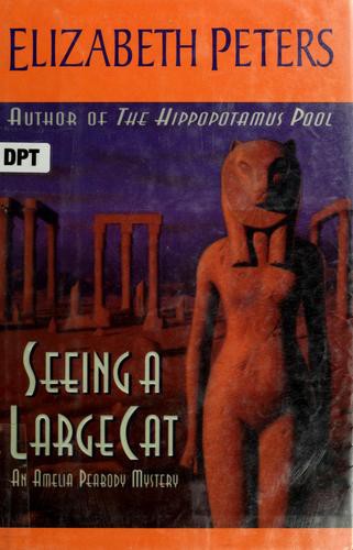 Seeing a Large Cat