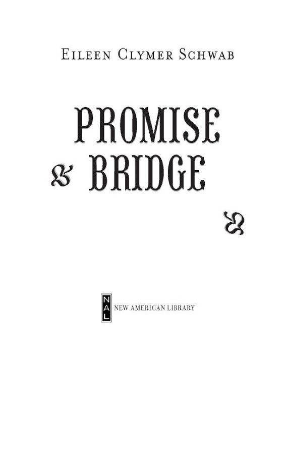 Promise Bridge
