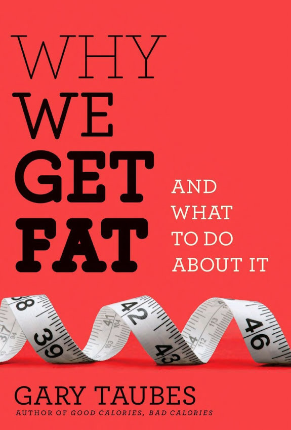 Why We Get Fat: And What to Do About It