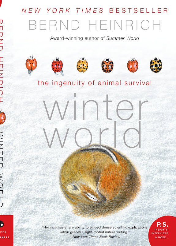 Winter World: The Ingenuity of Animal Survival